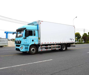Shacman 6.8m 270hp冷蔵トラック 