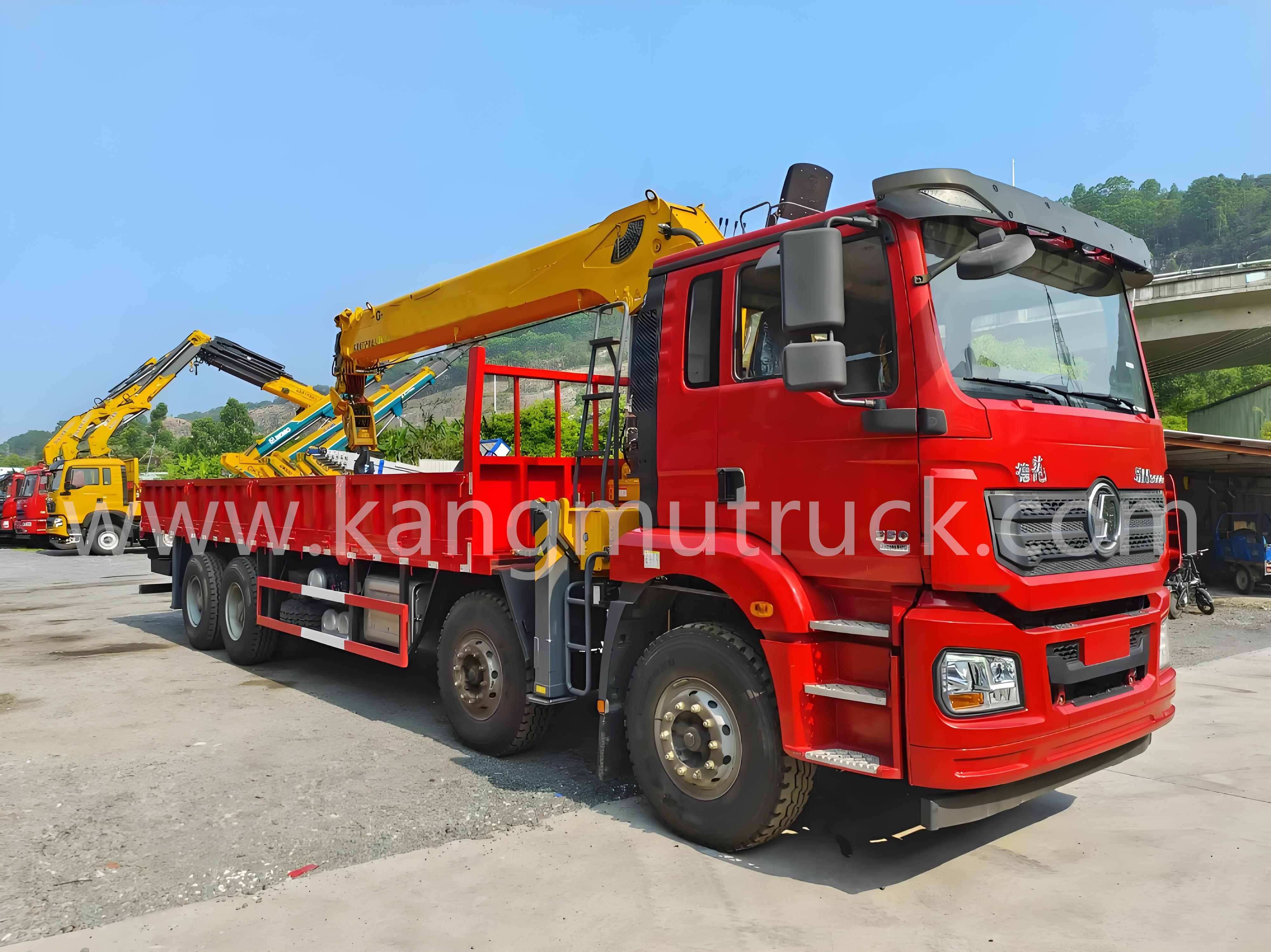 Shacman Delong 16Tons 텔레스코픽 스트레이트 암 크레인 트럭