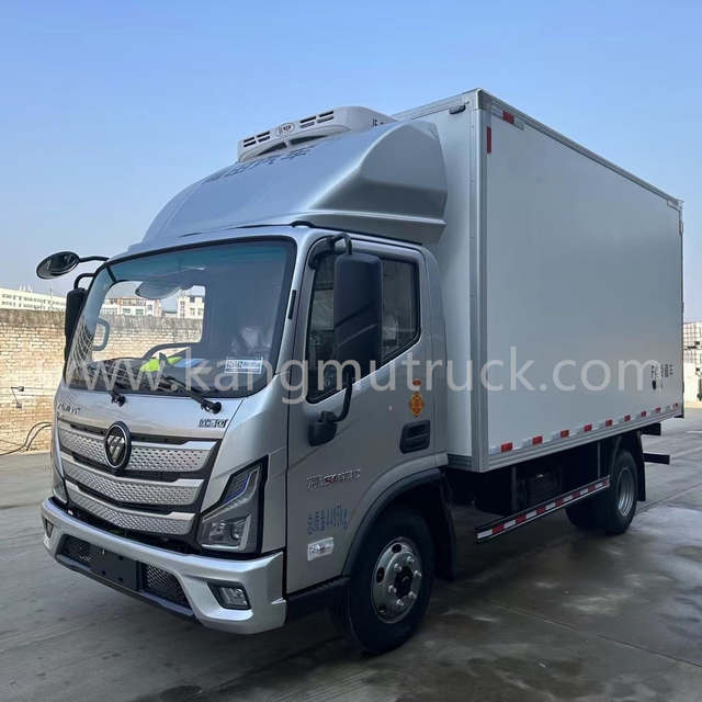 Foton 4,2M 160 CP CAMION CAPITATEA BIG CAPITATE 